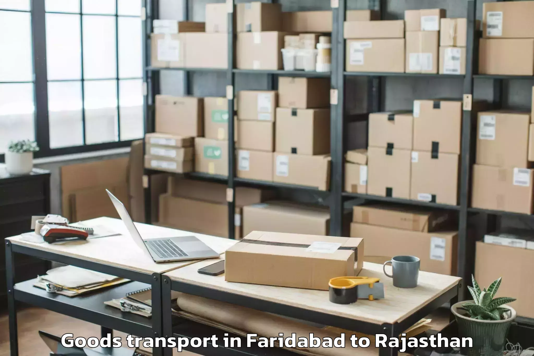 Quality Faridabad to Banasthali Vidyapith Goods Transport